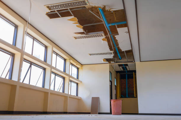 Best Sewage cleanup and water damage restoration  in Waretown, NJ