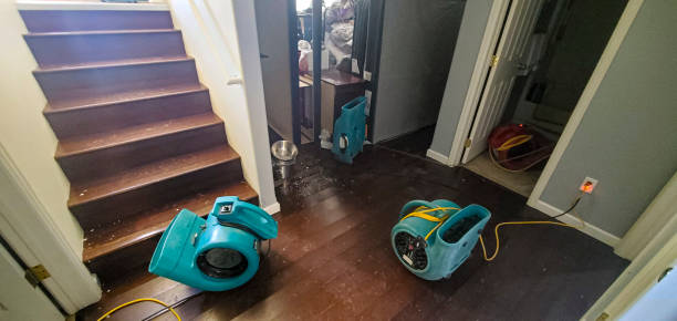Best Carpet water damage restoration  in Waretown, NJ