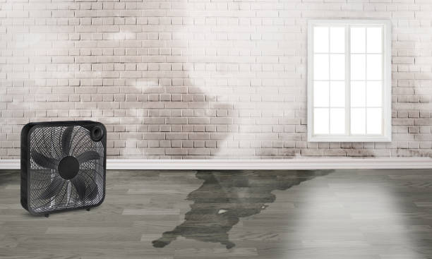 Best 24/7 water damage repair  in Waretown, NJ
