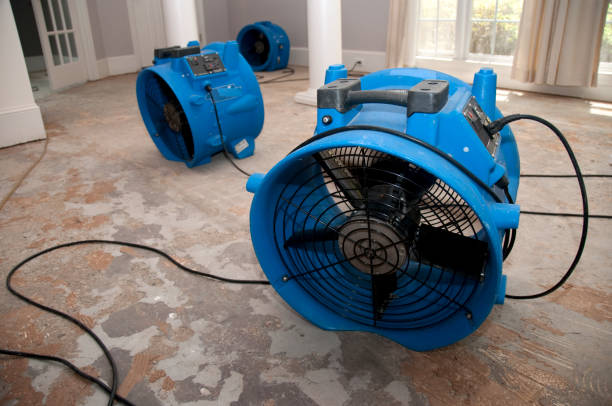 Best Emergency water damage restoration  in Waretown, NJ