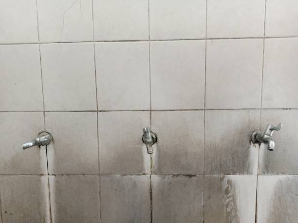 Best Residential water damage restoration  in Waretown, NJ