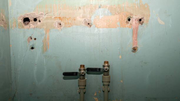 Best Mold removal after water damage  in Waretown, NJ