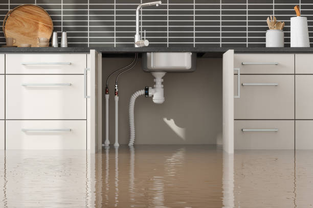 Best Carpet water damage restoration  in Waretown, NJ